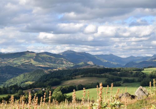 Berg Auvergne